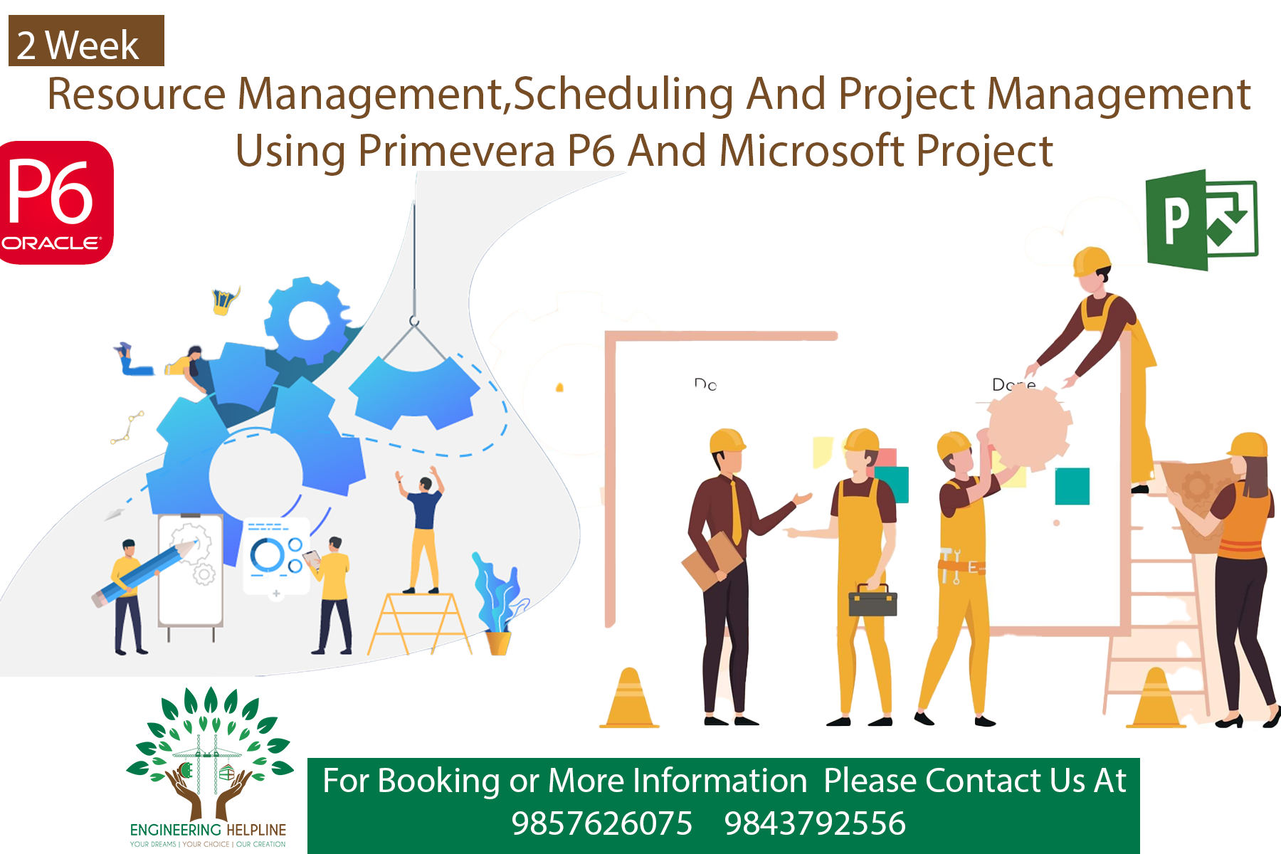 Primavera (P6) Training